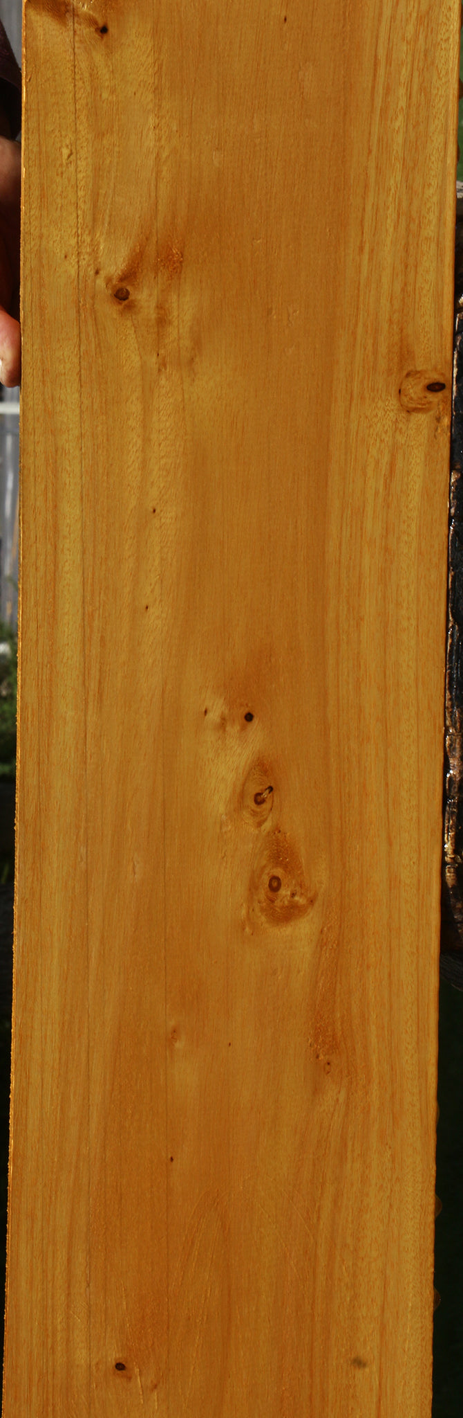 Argentine Osage Orange Lumber