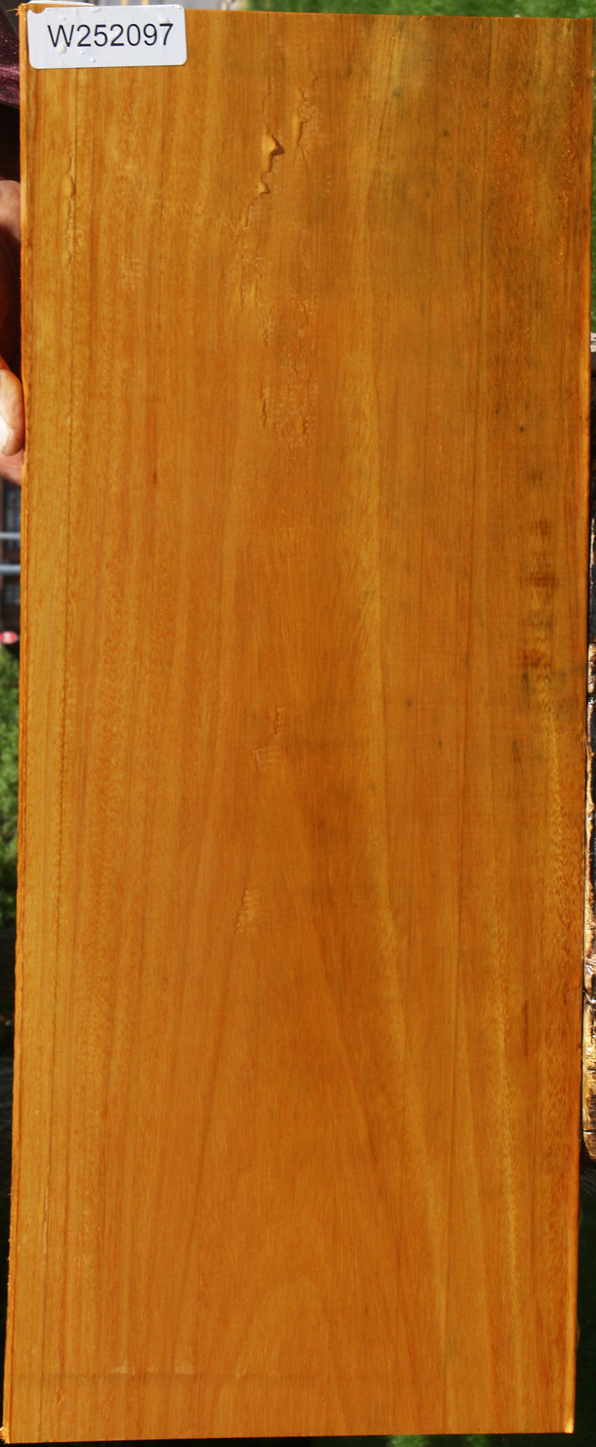 Argentine Osage Orange Lumber