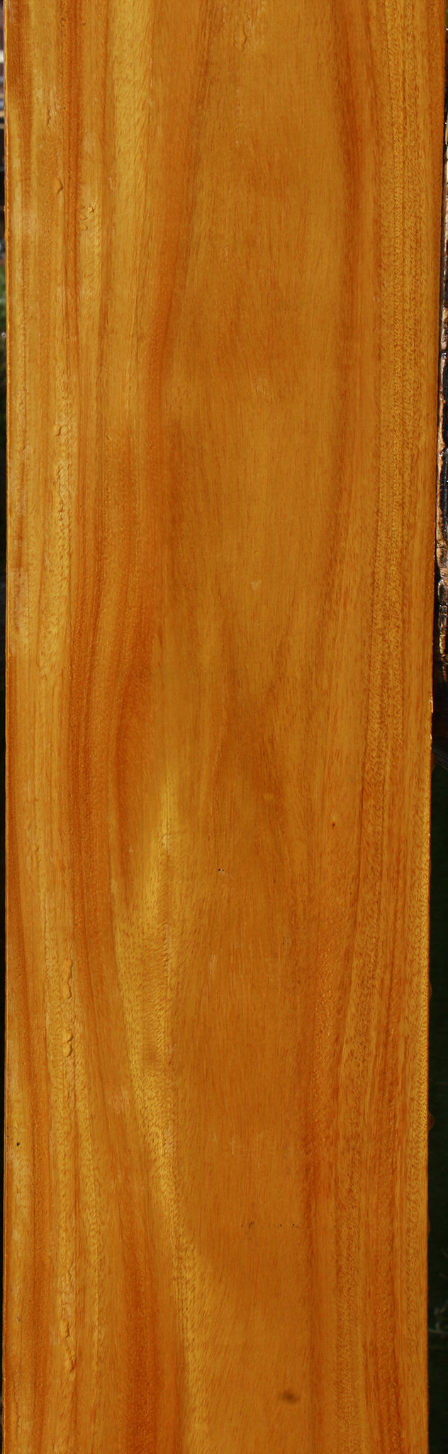 Argentine Osage Orange Lumber