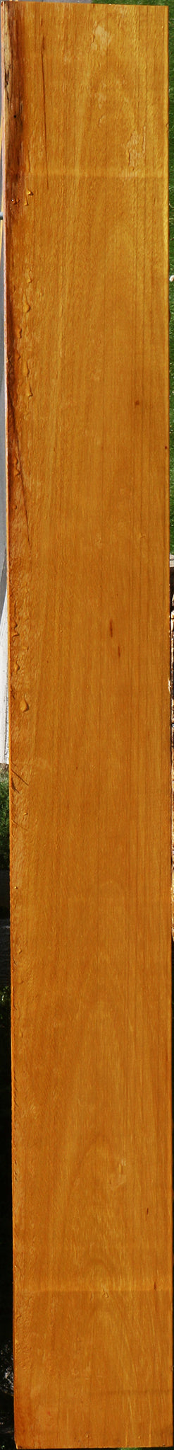 Argentine Osage Orange Lumber