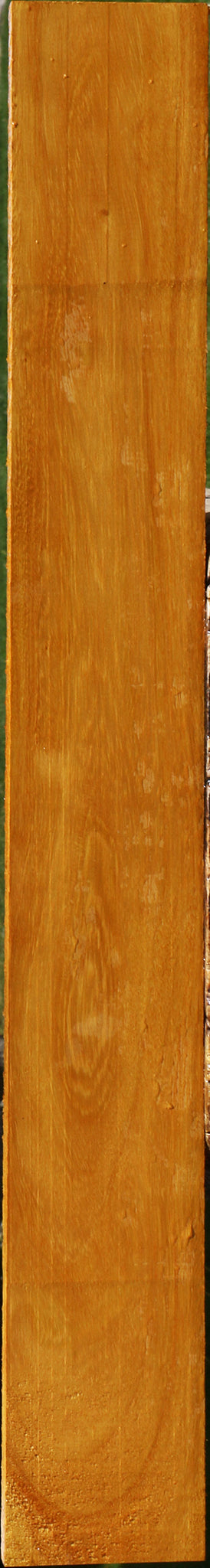 Argentine Osage Orange Lumber