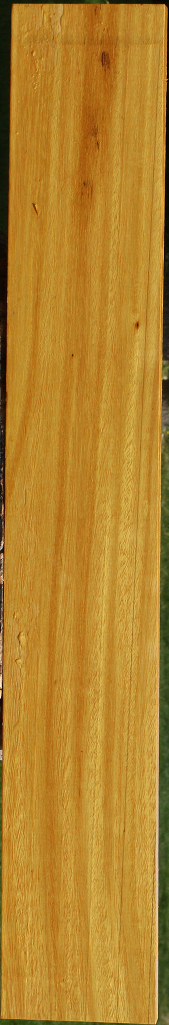 Argentine Osage Orange Lumber