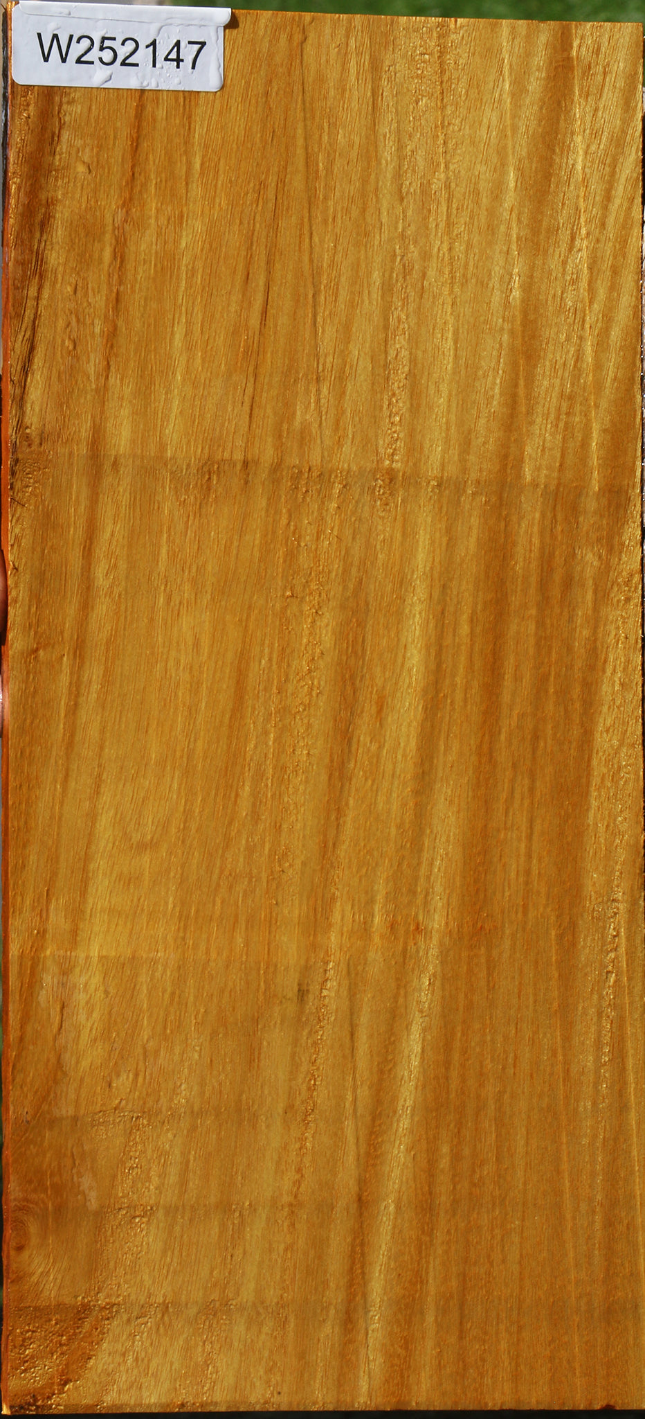 Argentine Osage Orange Lumber