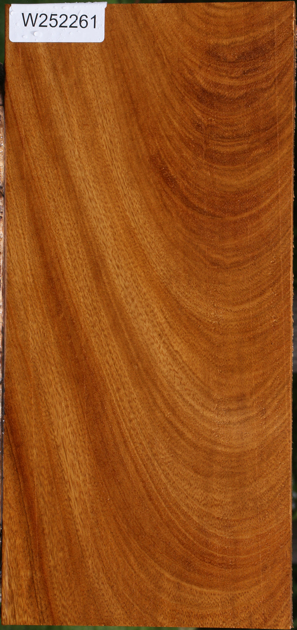 Figured Cerejeira Lumber