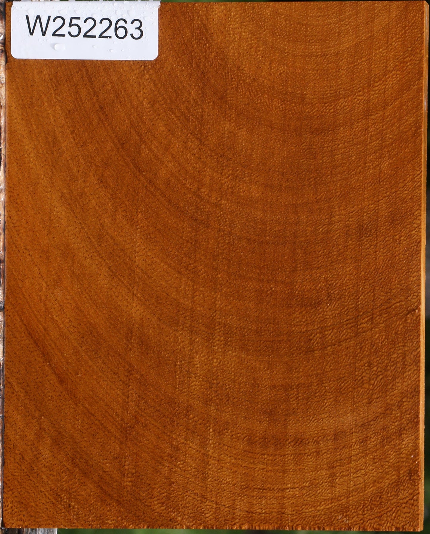 Figured Cerejeira Lumber
