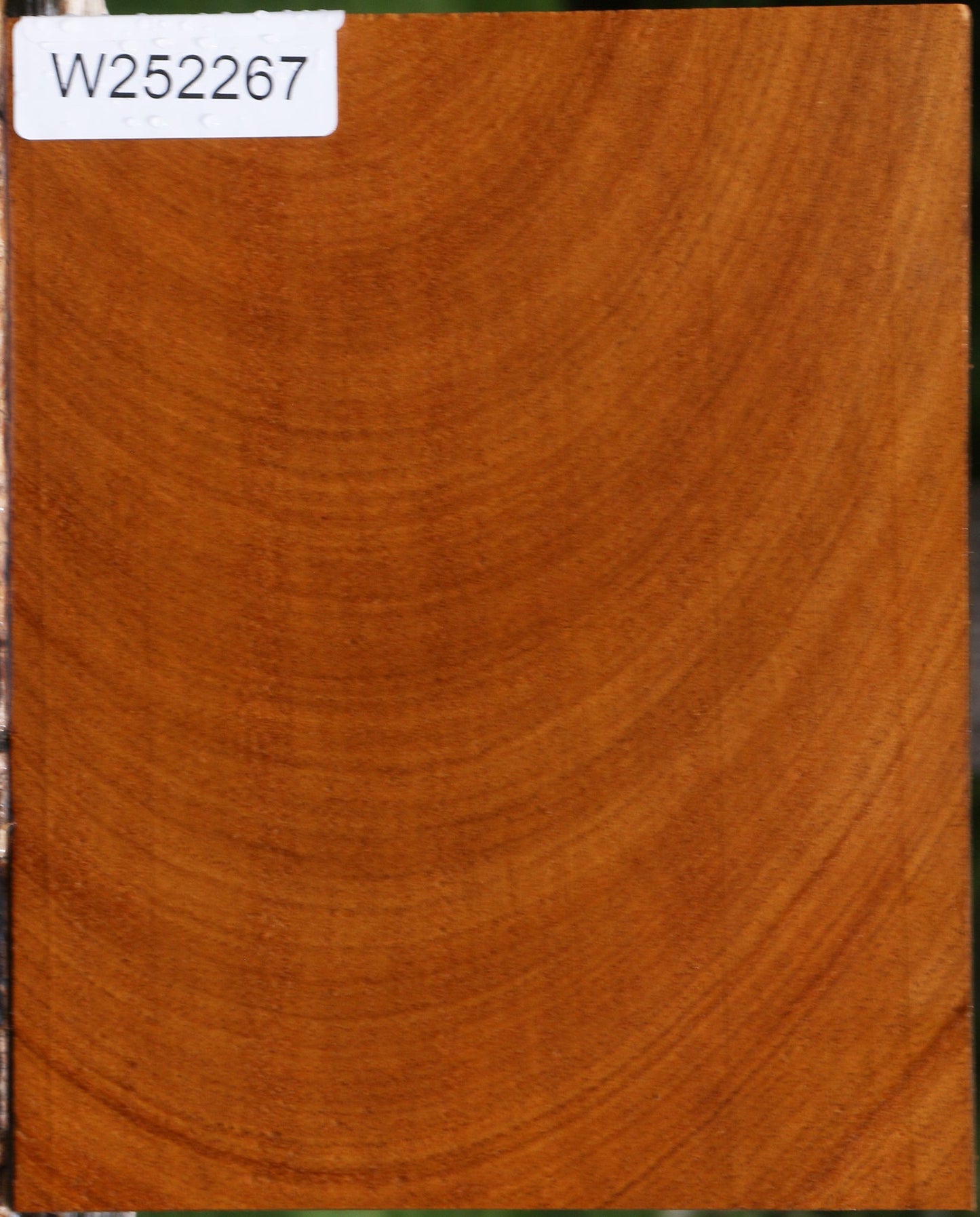Figured Cerejeira Lumber