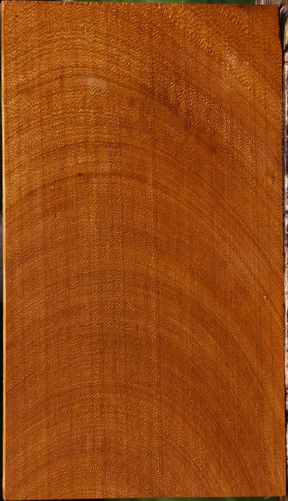 Figured Cerejeira Lumber