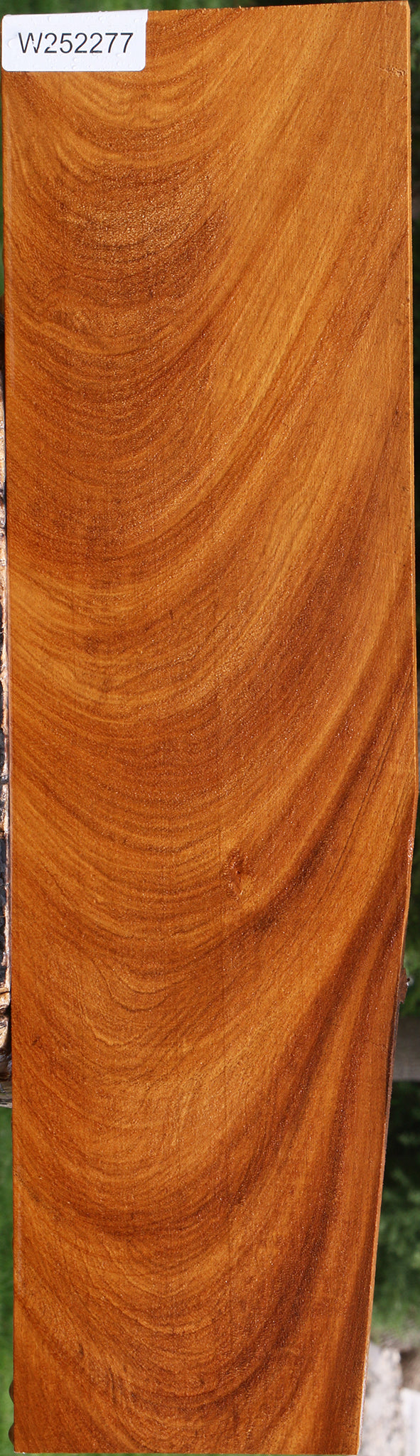 Extra Fancy Cerejeira Lumber