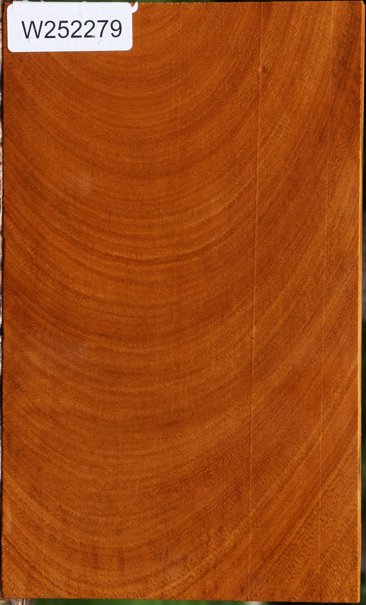 Figured Cerejeira Lumber