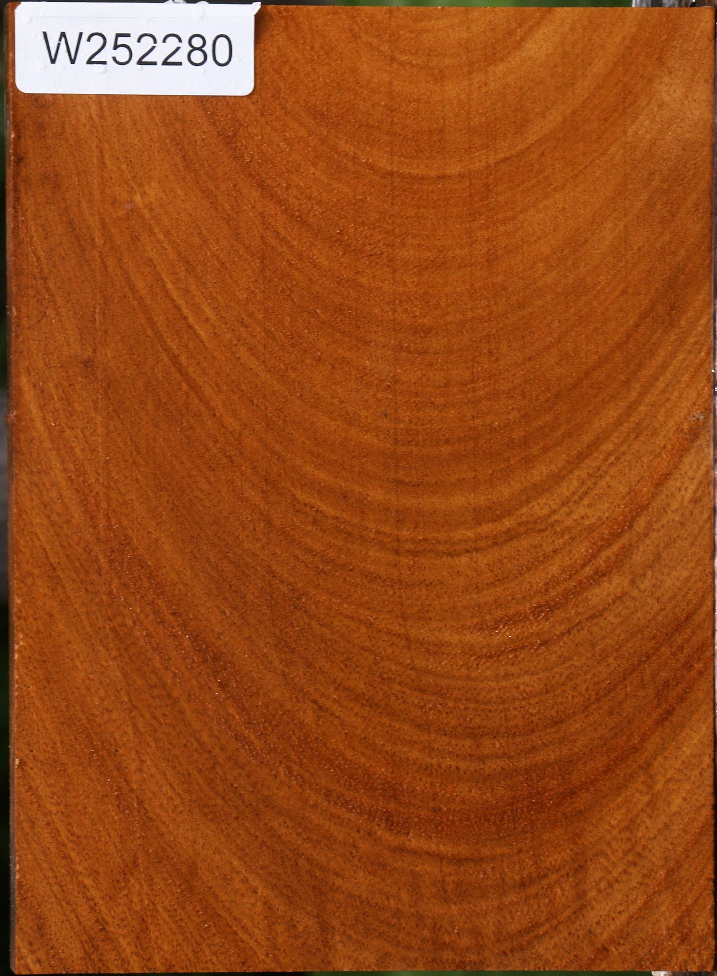 Figured Cerejeira Lumber