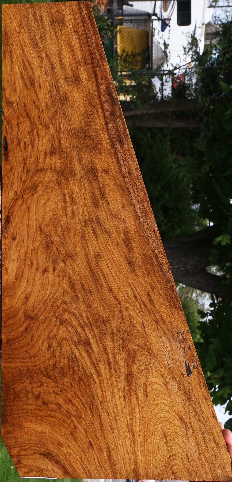 Figured Cerejeira Micro Lumber