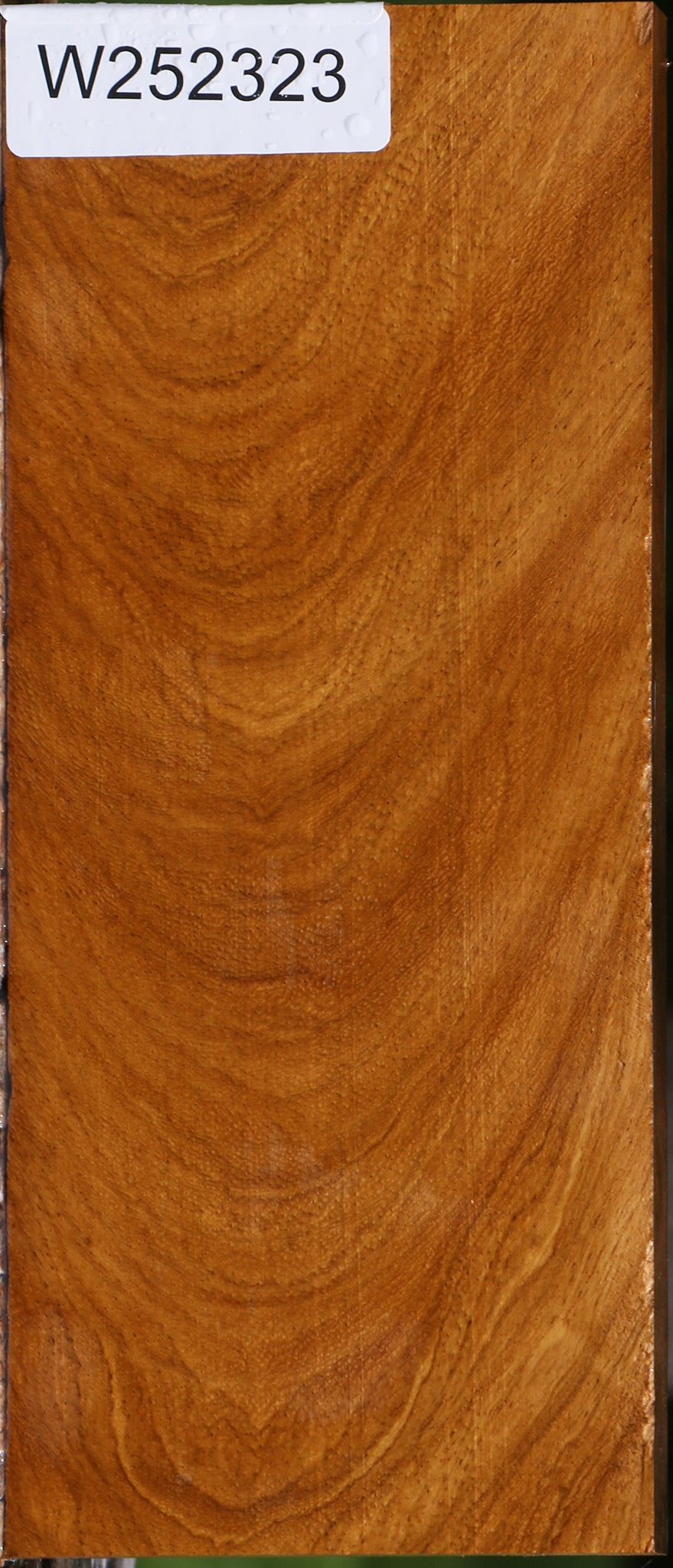 Exhibition Cerejeira Lumber