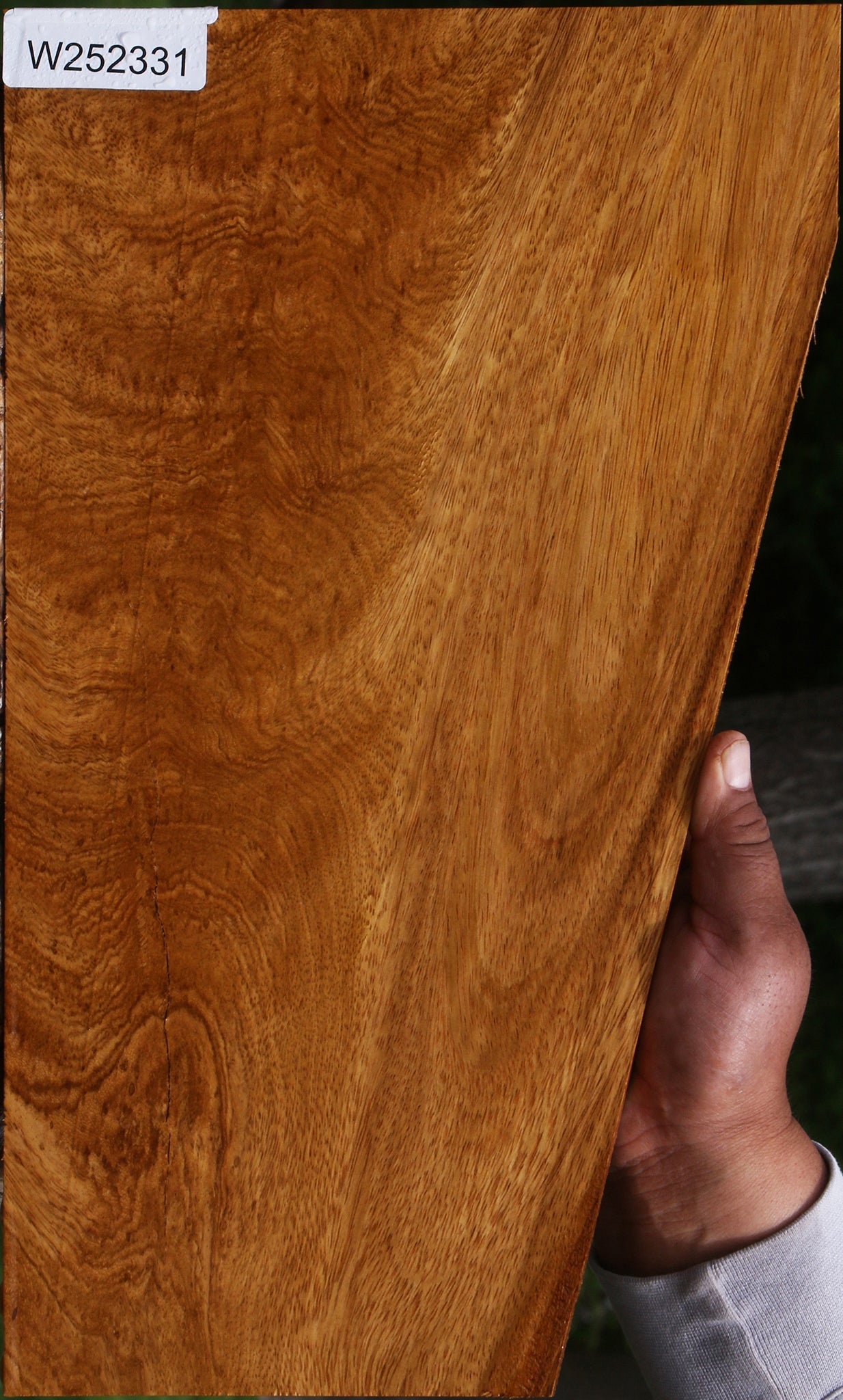 Exhibition Crotchwood Cerejeira Lumber