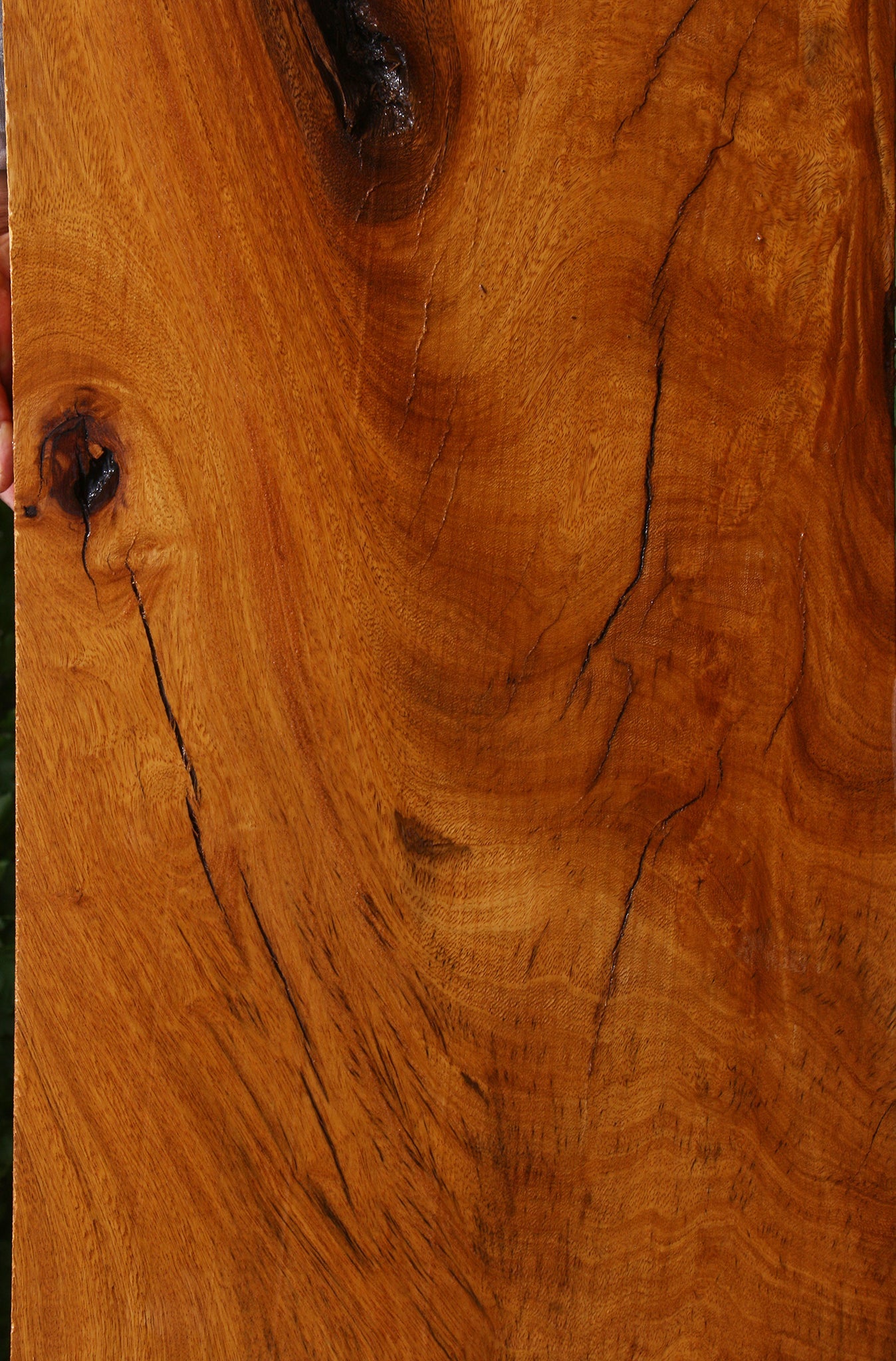 Extra Fancy Rustic Crotchwood Cerejeira Lumber