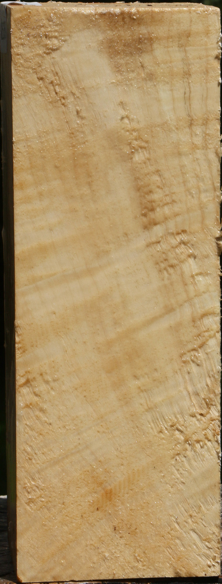 Extra Fancy Box Elder Vessel Blank