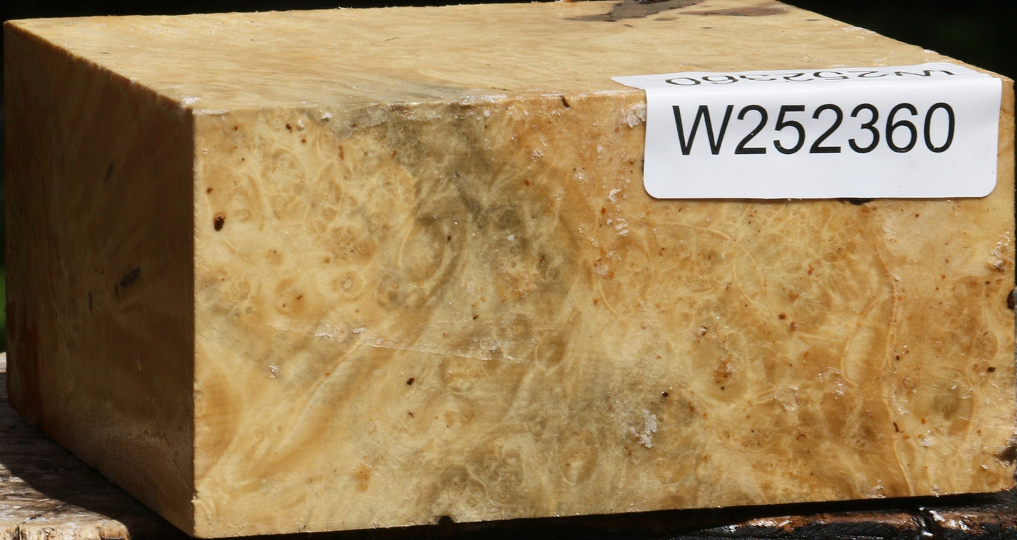 Box Elder Burl Bowl Blank