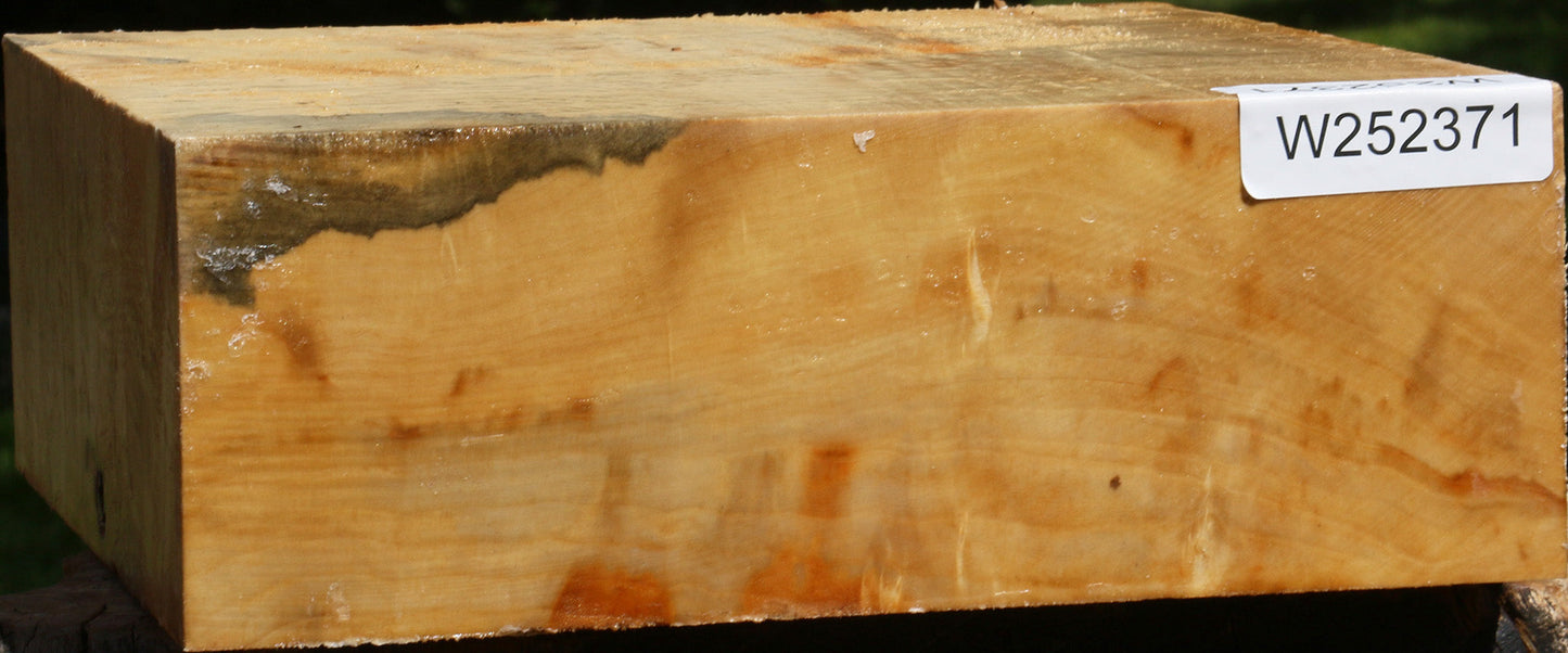 Box Elder Bowl Blank