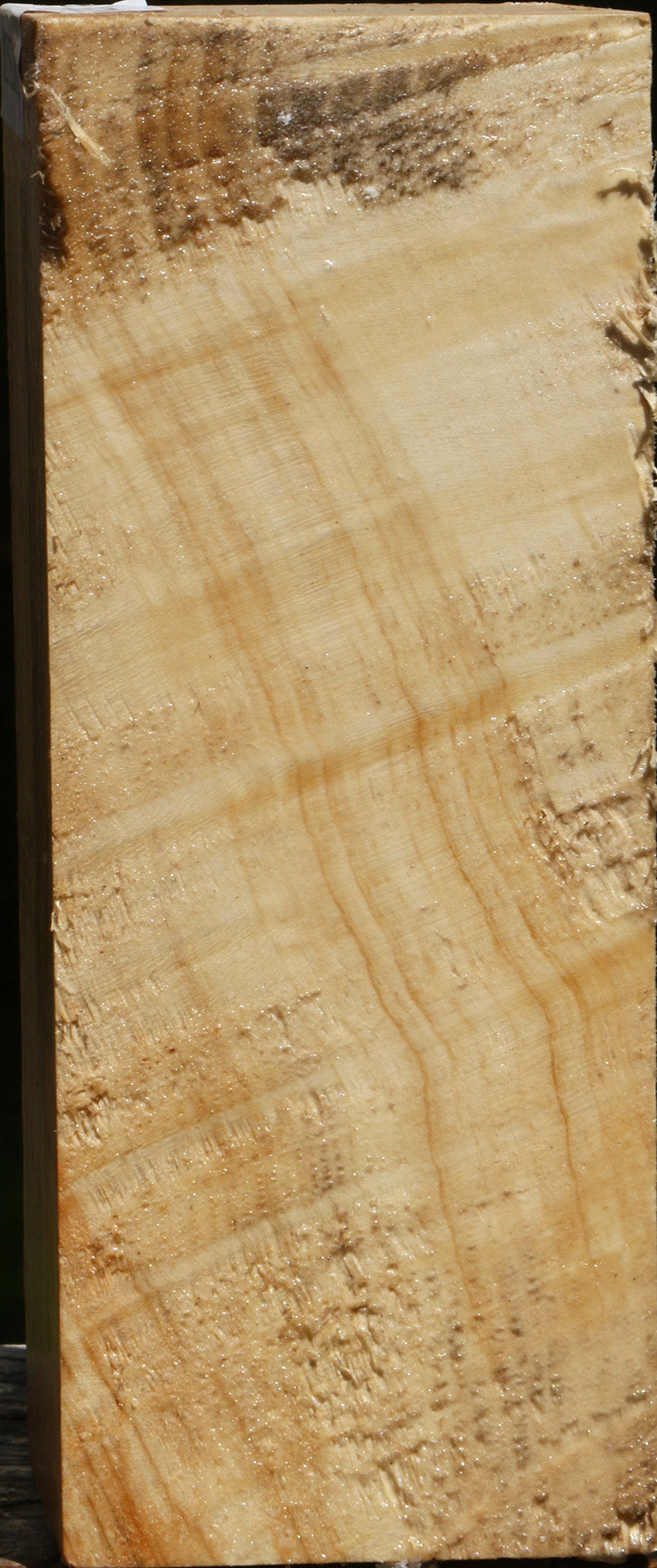 Extra Fancy Box Elder Vessel Blank