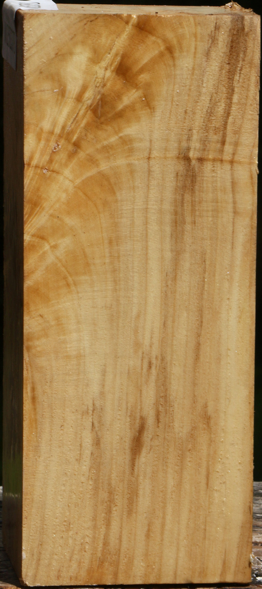 Box Elder Turning Square