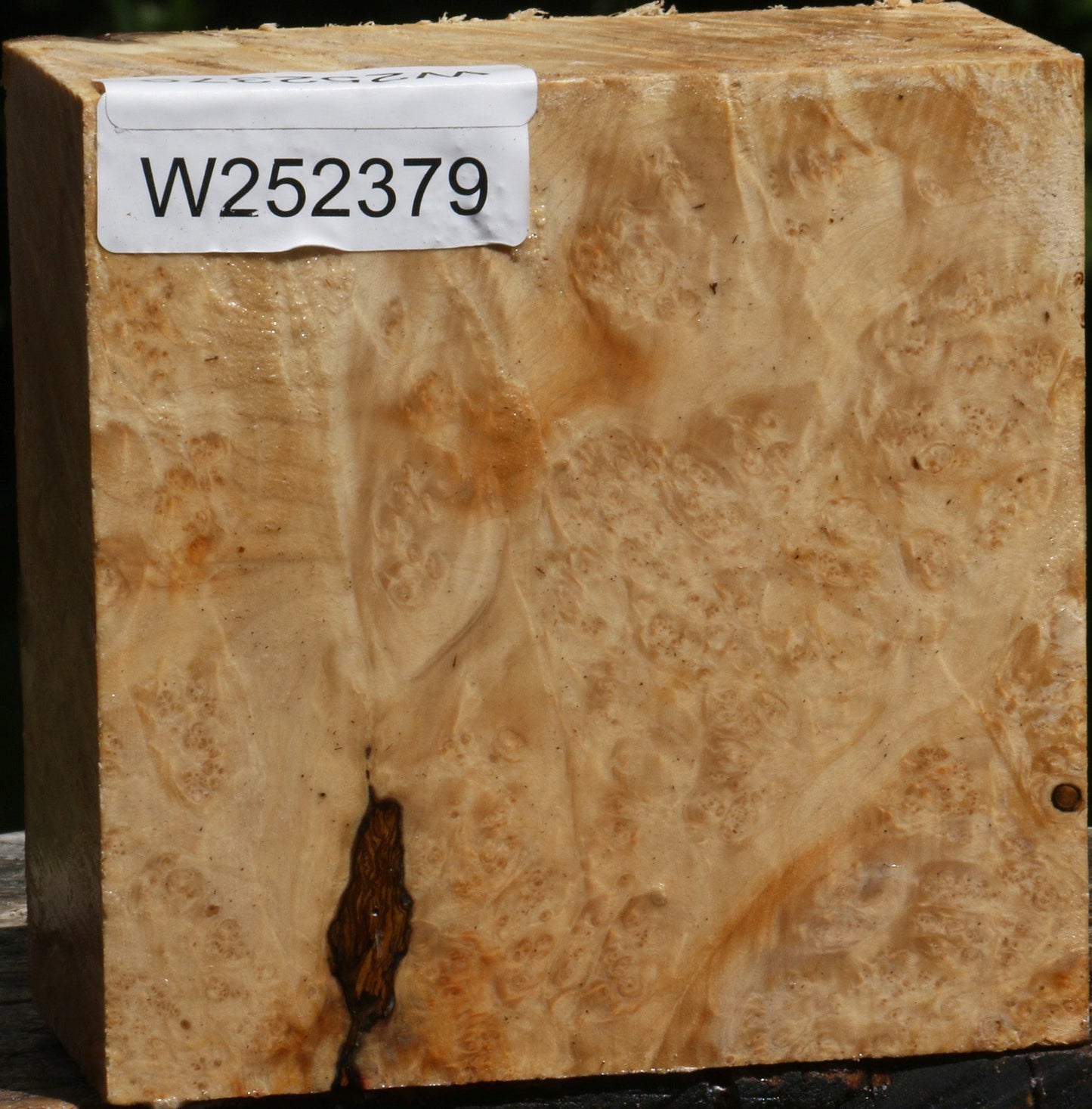 Box Elder Burl Bowl Blank