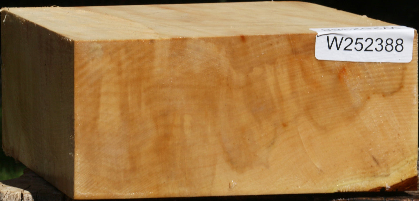 Box Elder Bowl Blank