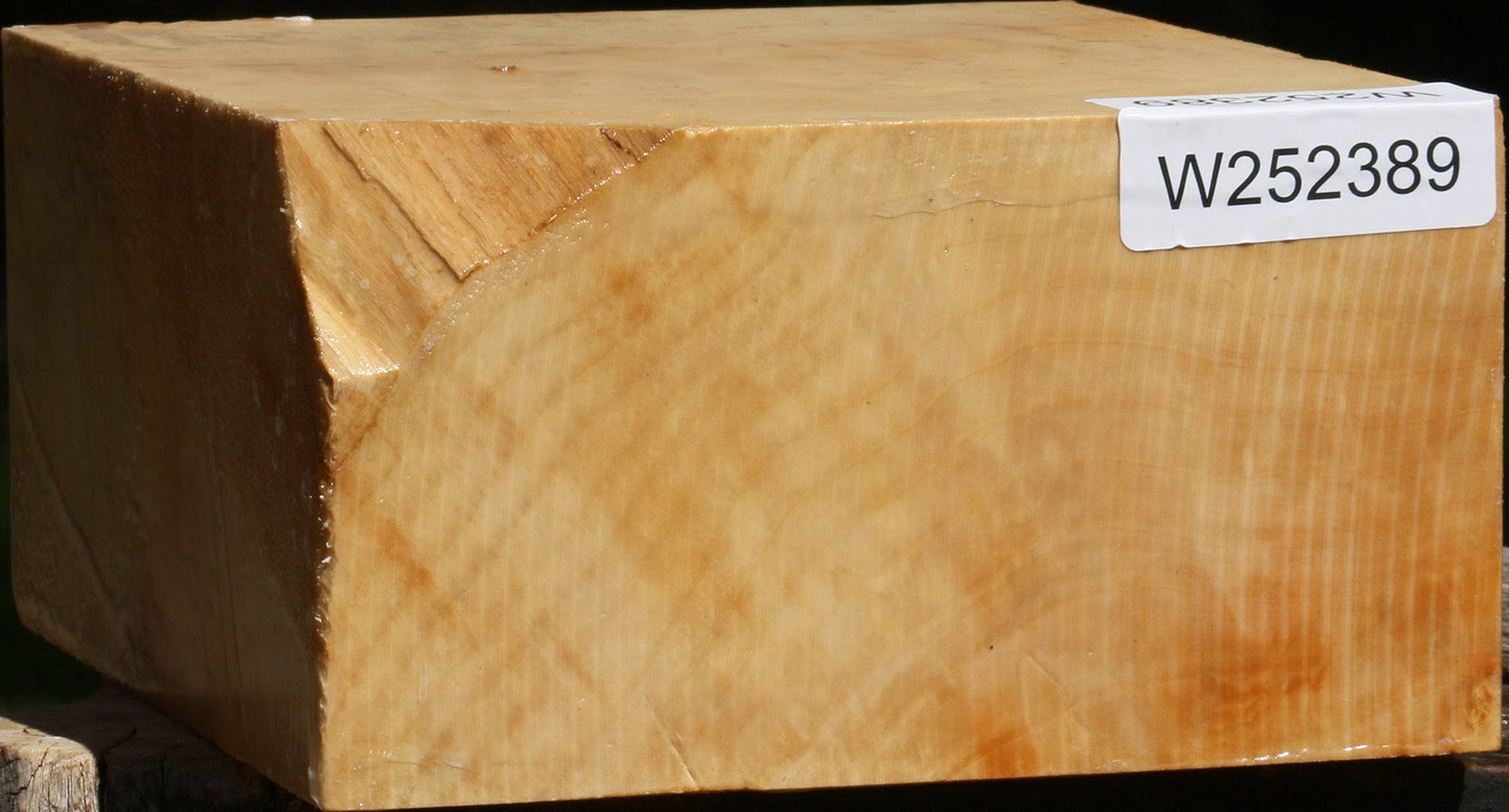 Figured Box Elder Bowl Blank