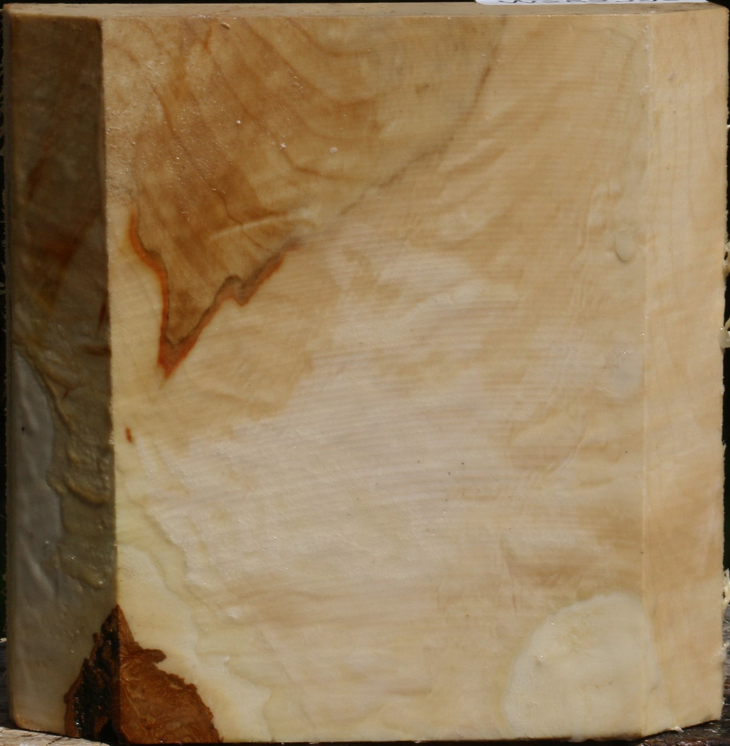 Extra Fancy Box Elder Bowl Blank