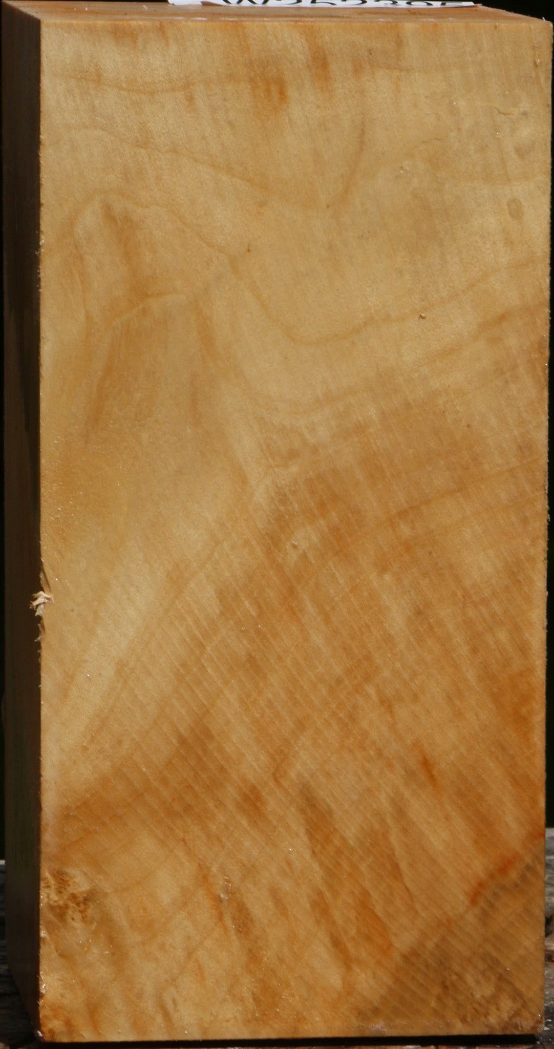 Figured Box Elder Turning Square
