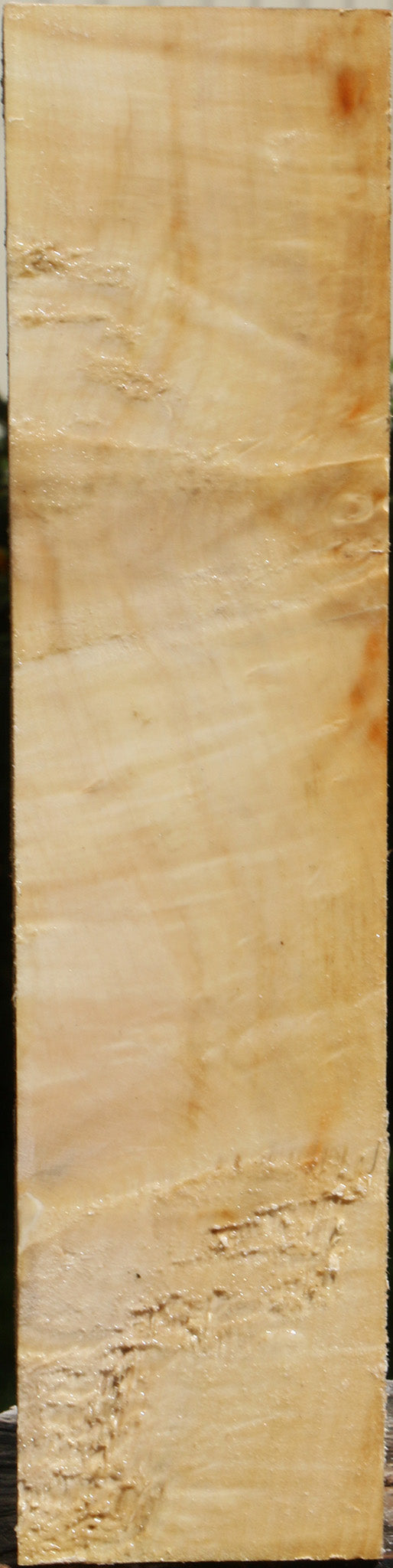 Extra Fancy Box Elder Vessel Blank