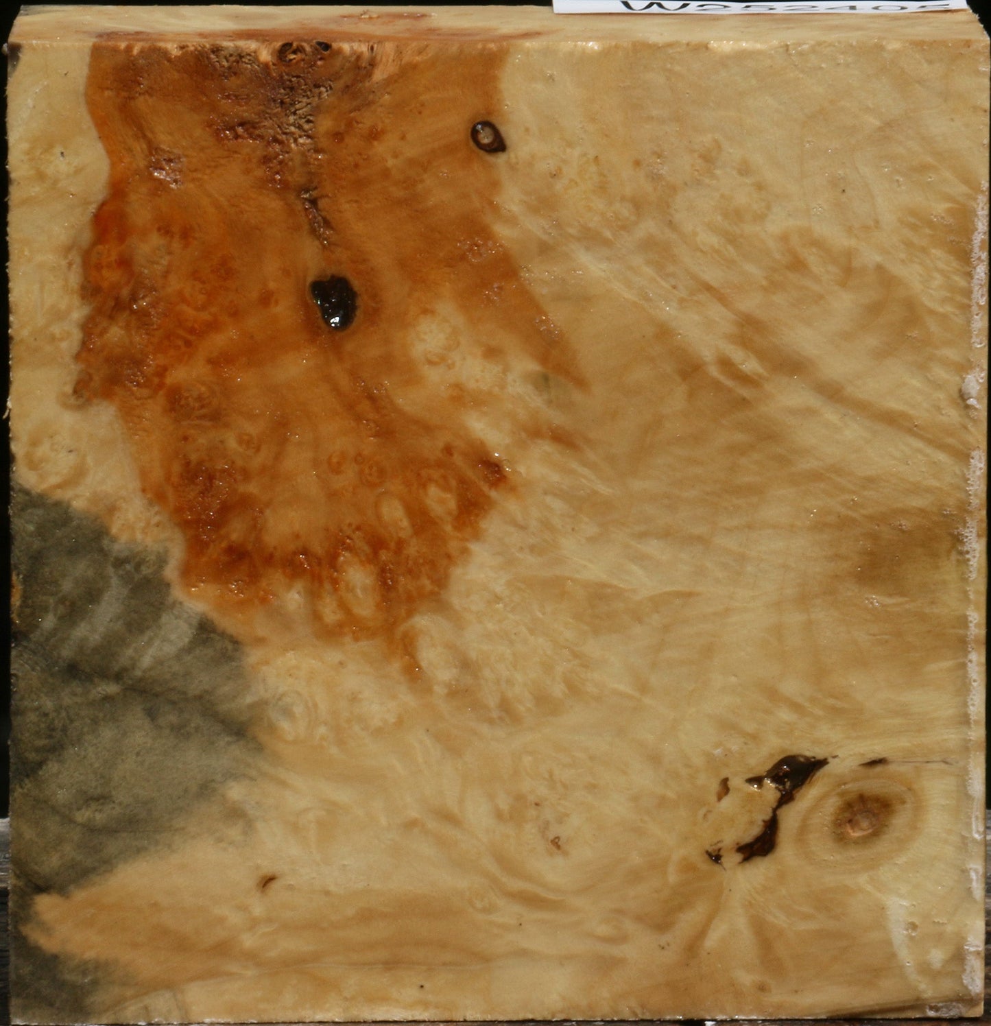Box Elder Burl Bowl Blank