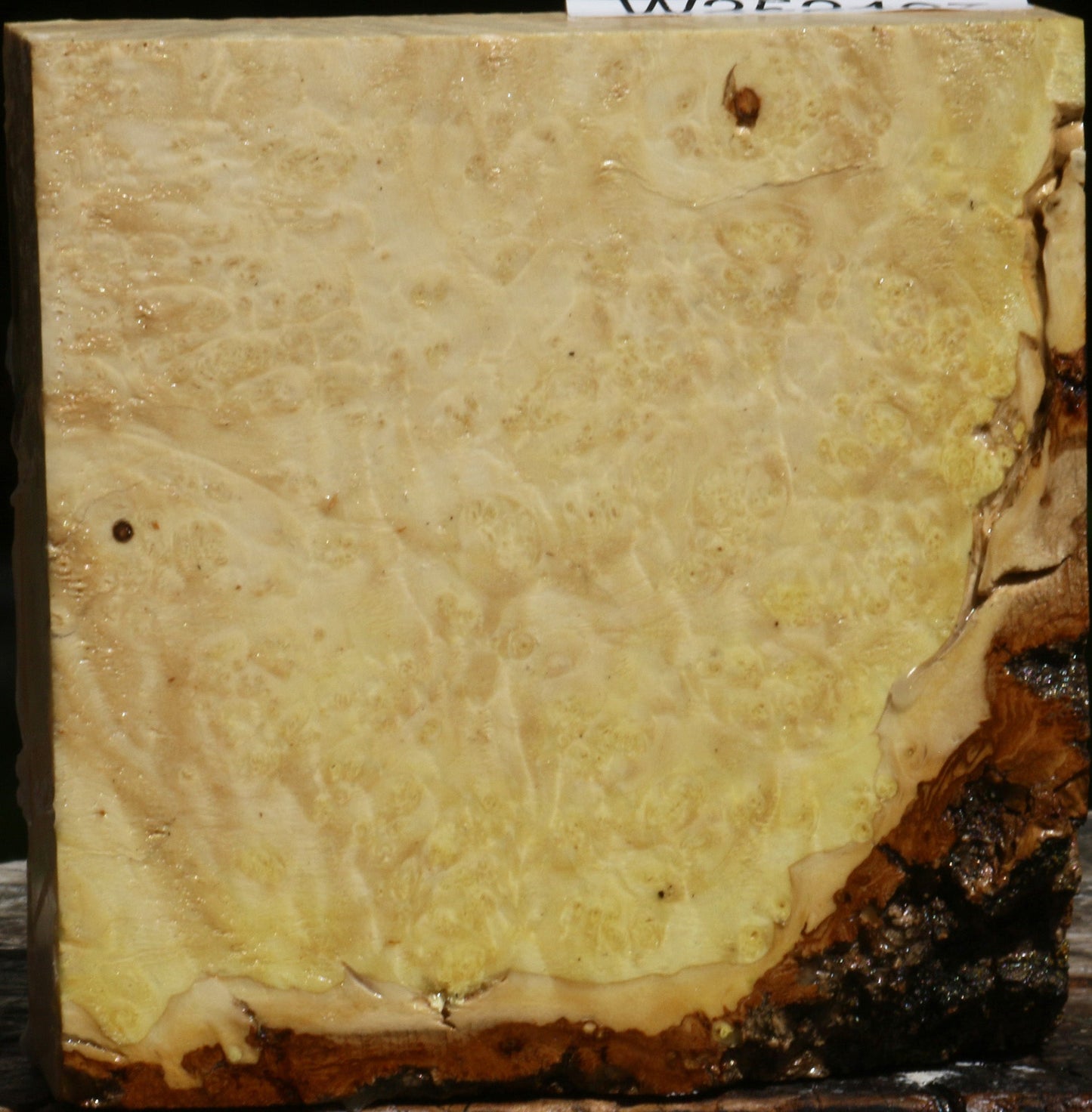 Box Elder Burl Bowl Blank
