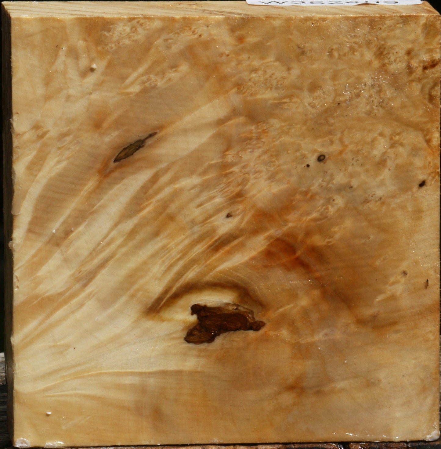 Box Elder Burl Bowl Blank