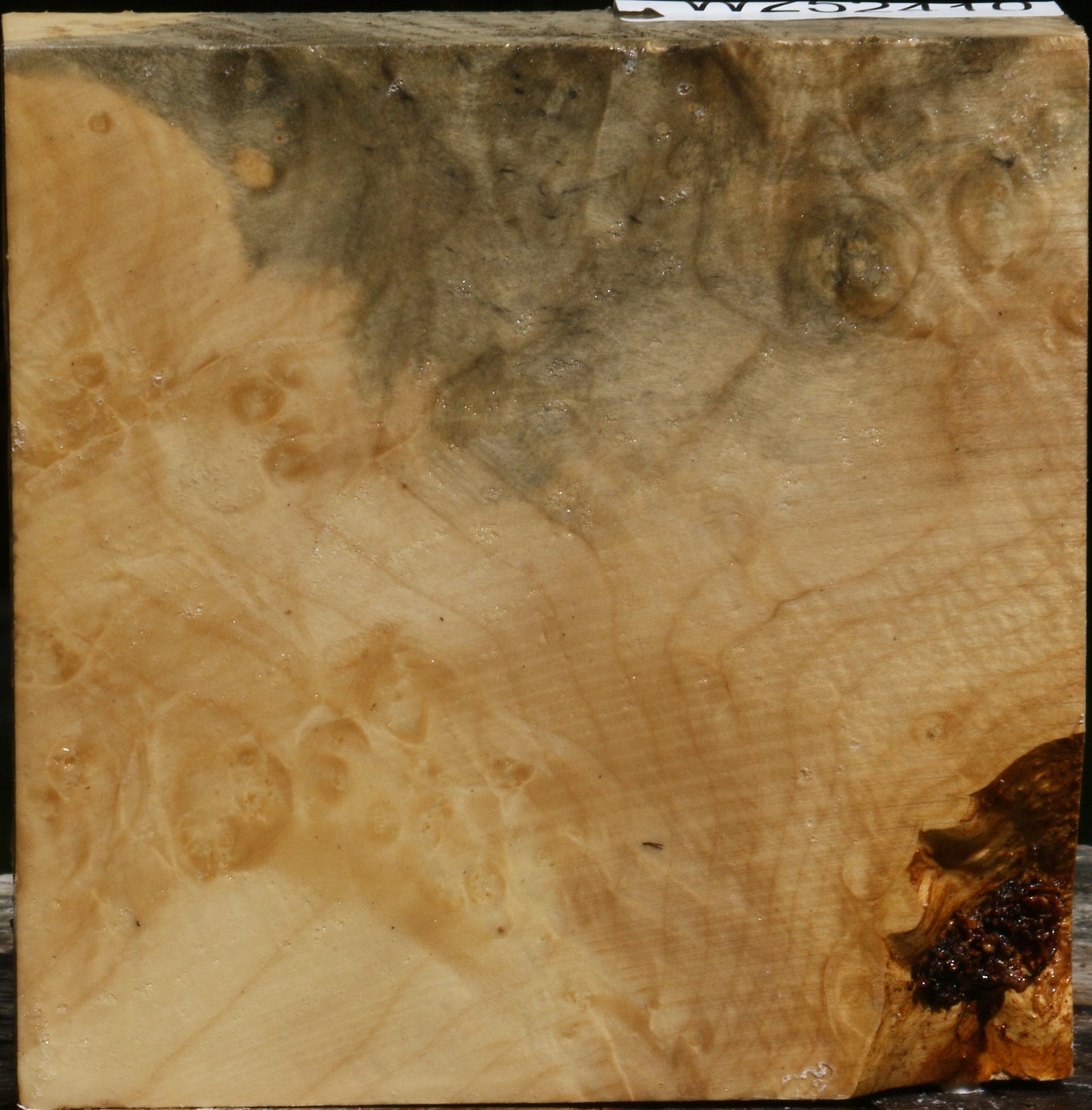 Box Elder Burl Bowl Blank