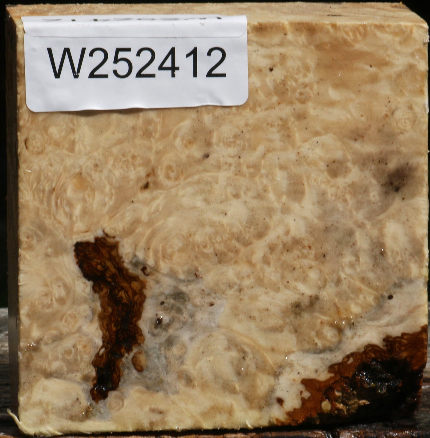 Box Elder Burl Bowl Blank