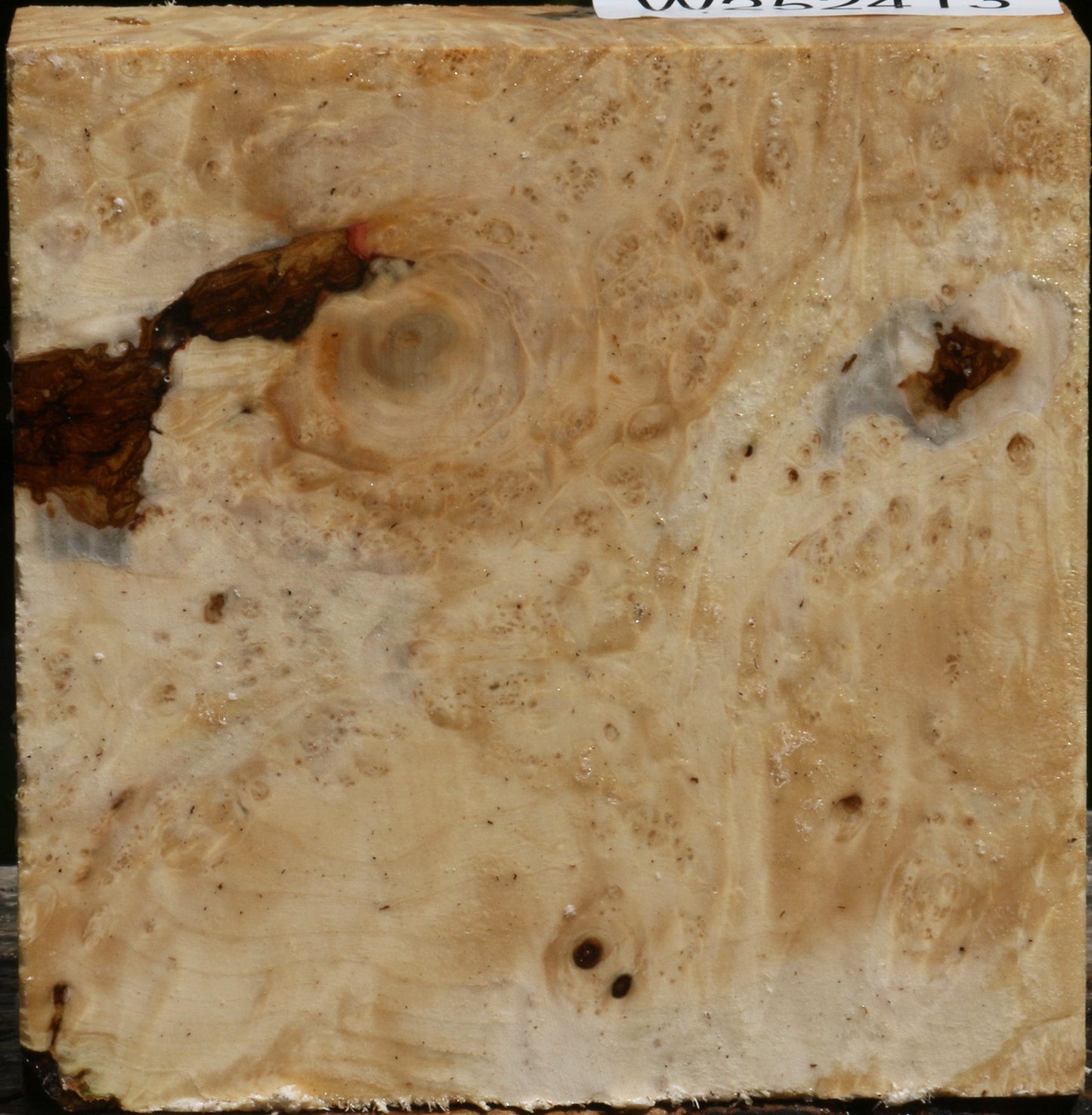 Box Elder Burl Bowl Blank