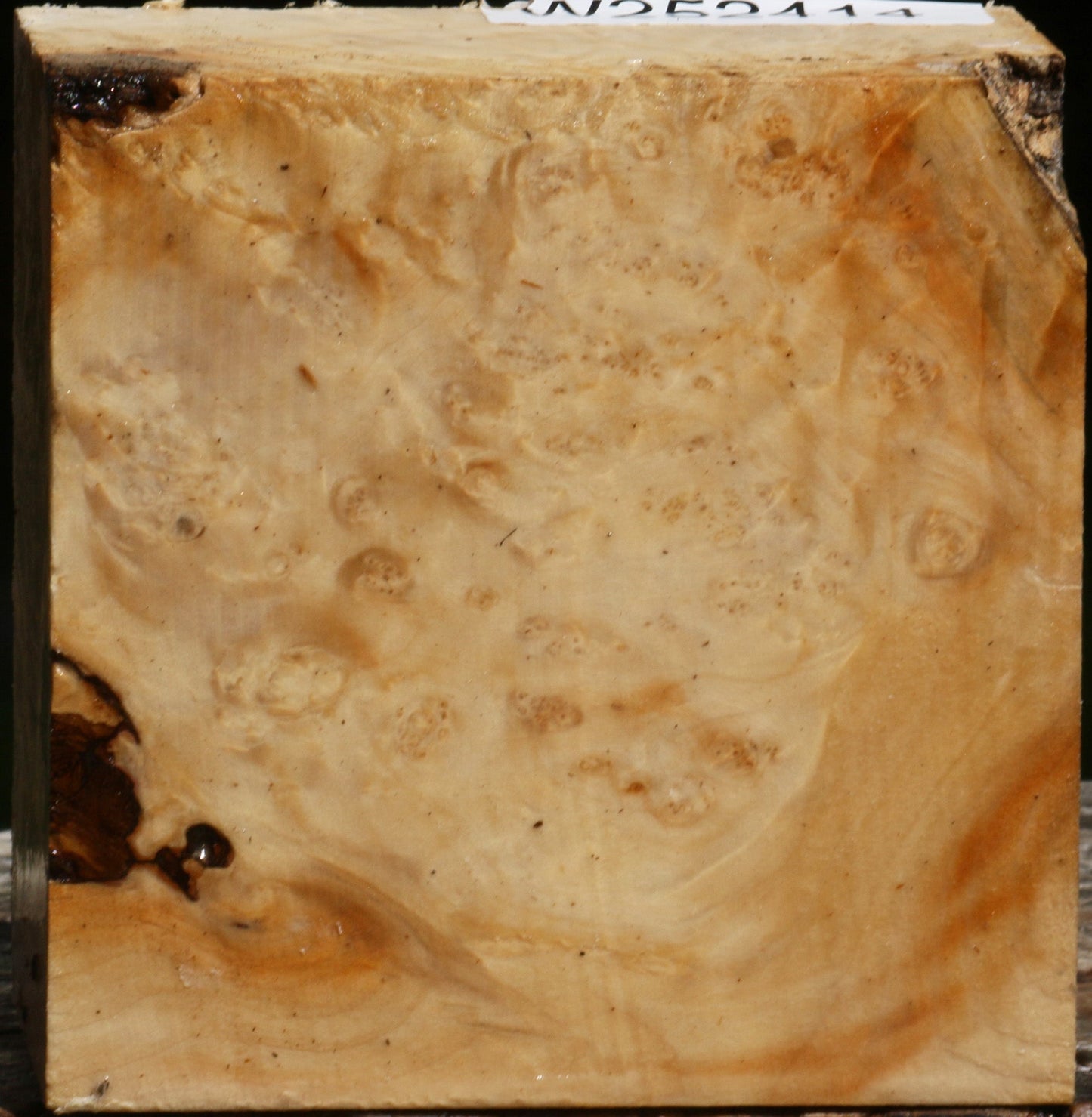 Box Elder Burl Bowl Blank