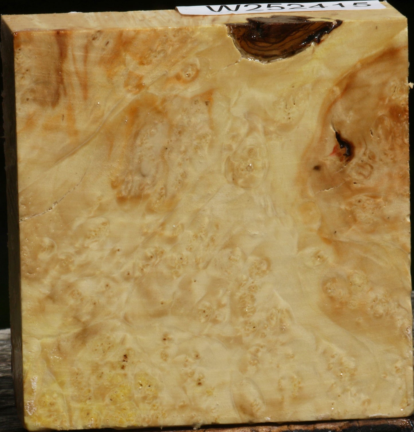 Box Elder Burl Bowl Blank