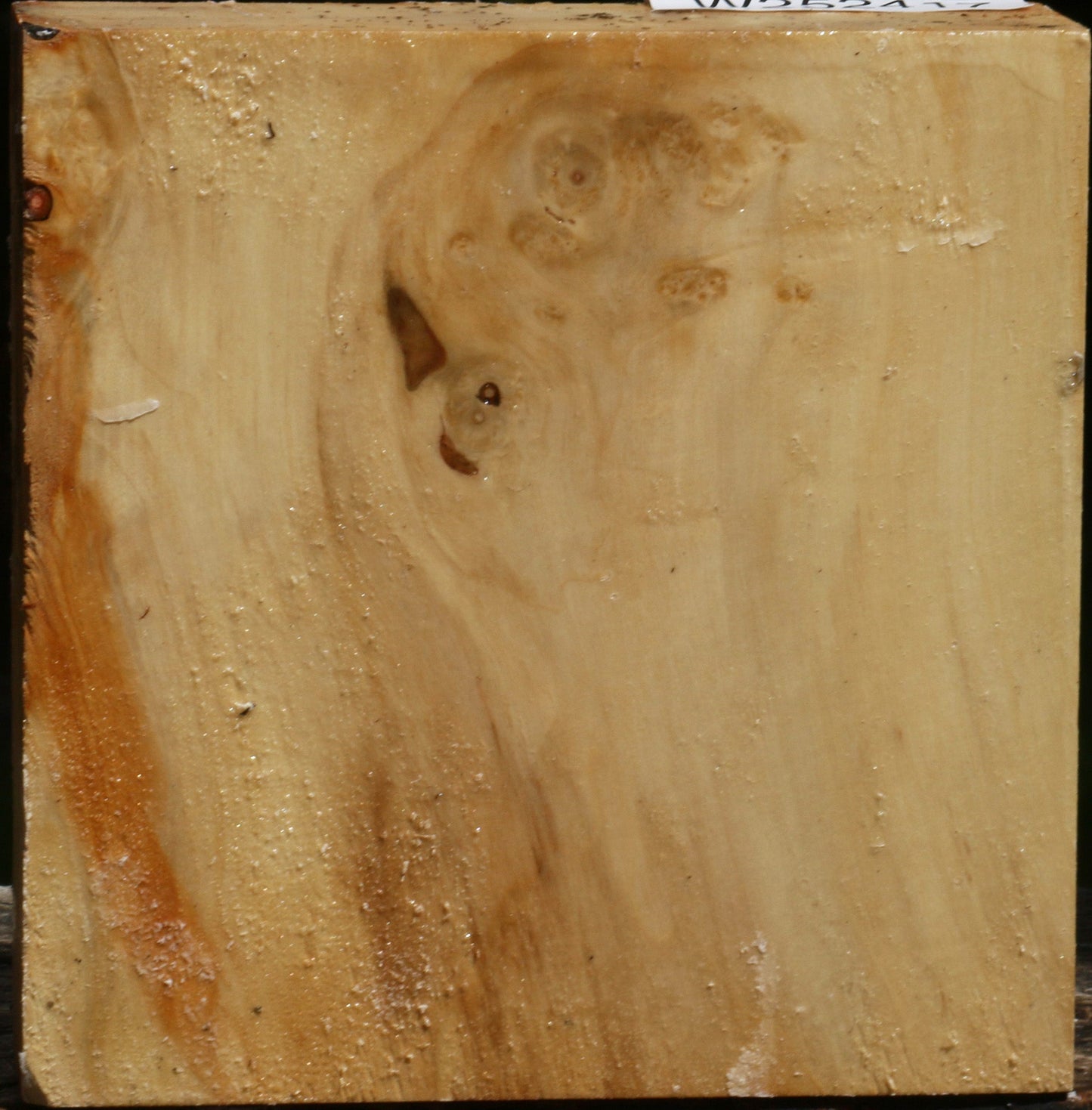 Figured Box Elder Bowl Blank