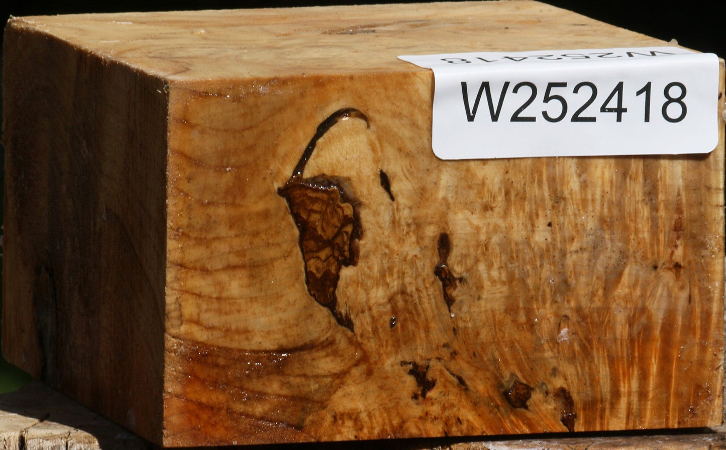 Rustic Box Elder Burl Bowl Blank