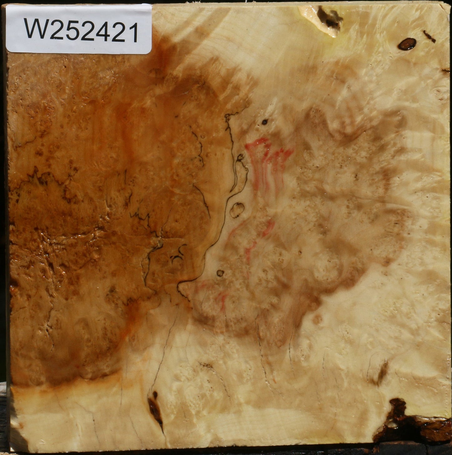 Box Elder Burl Bowl Blank