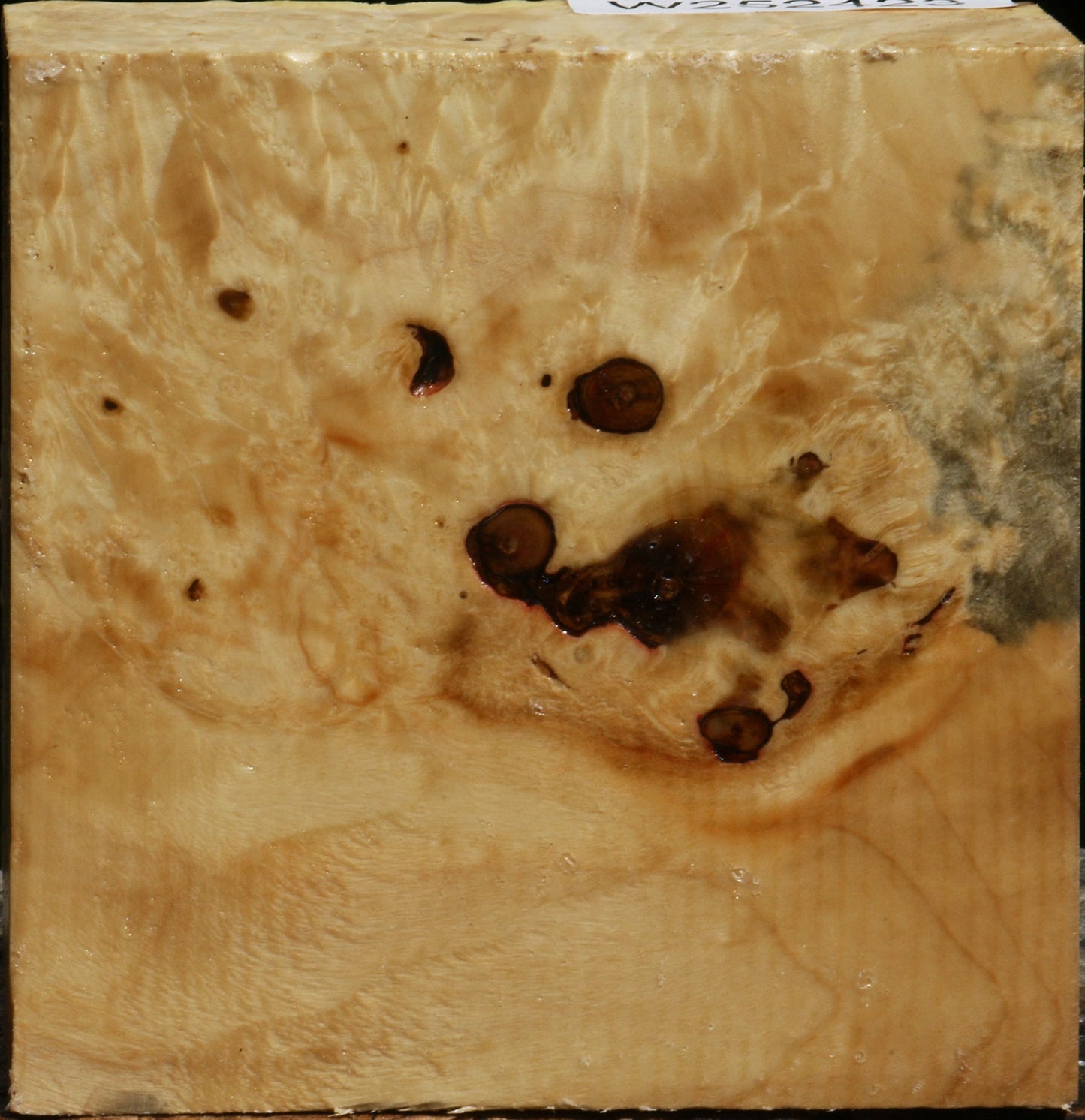 Rustic Box Elder Burl Bowl Blank