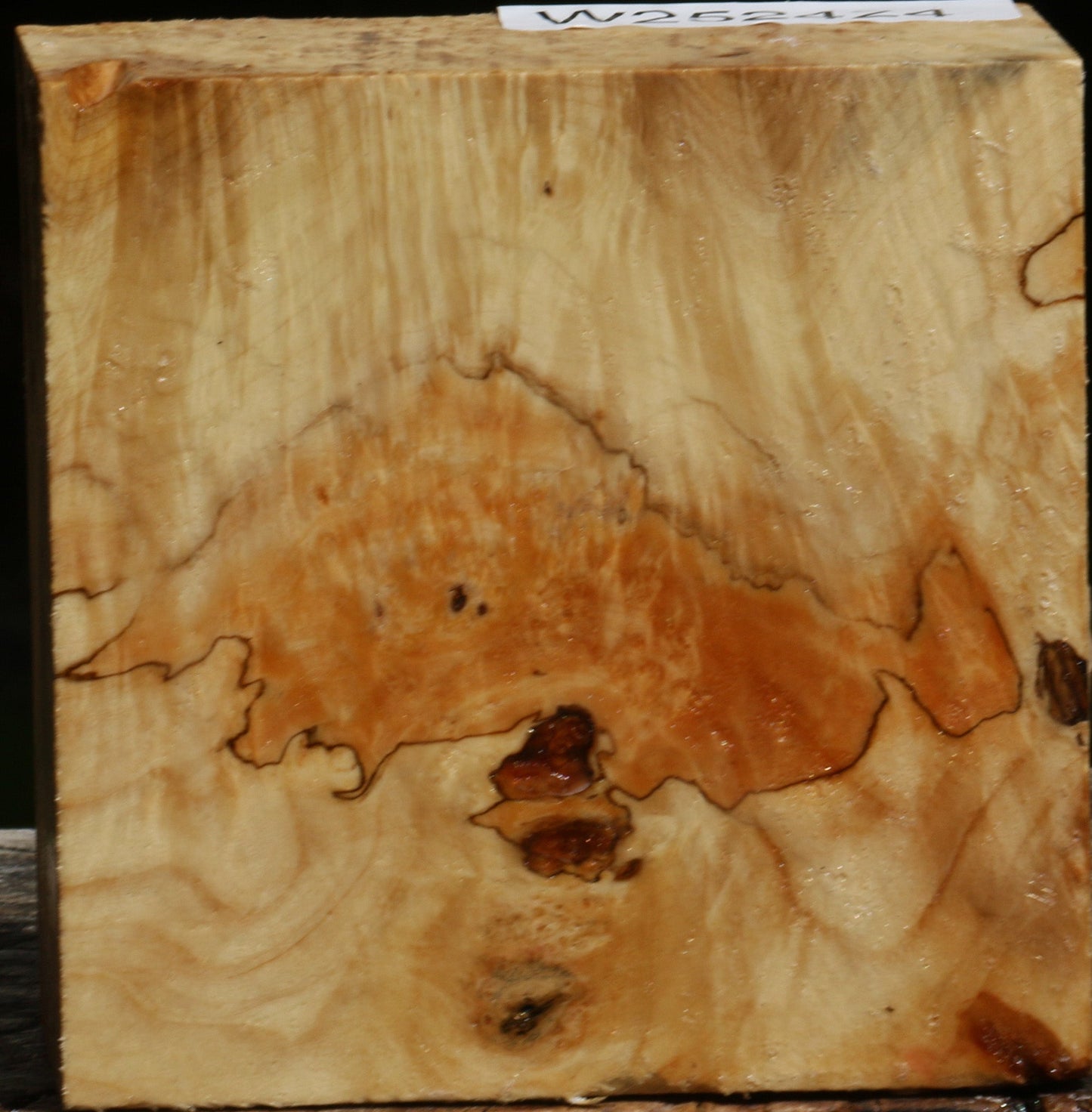 Box Elder Burl Bowl Blank