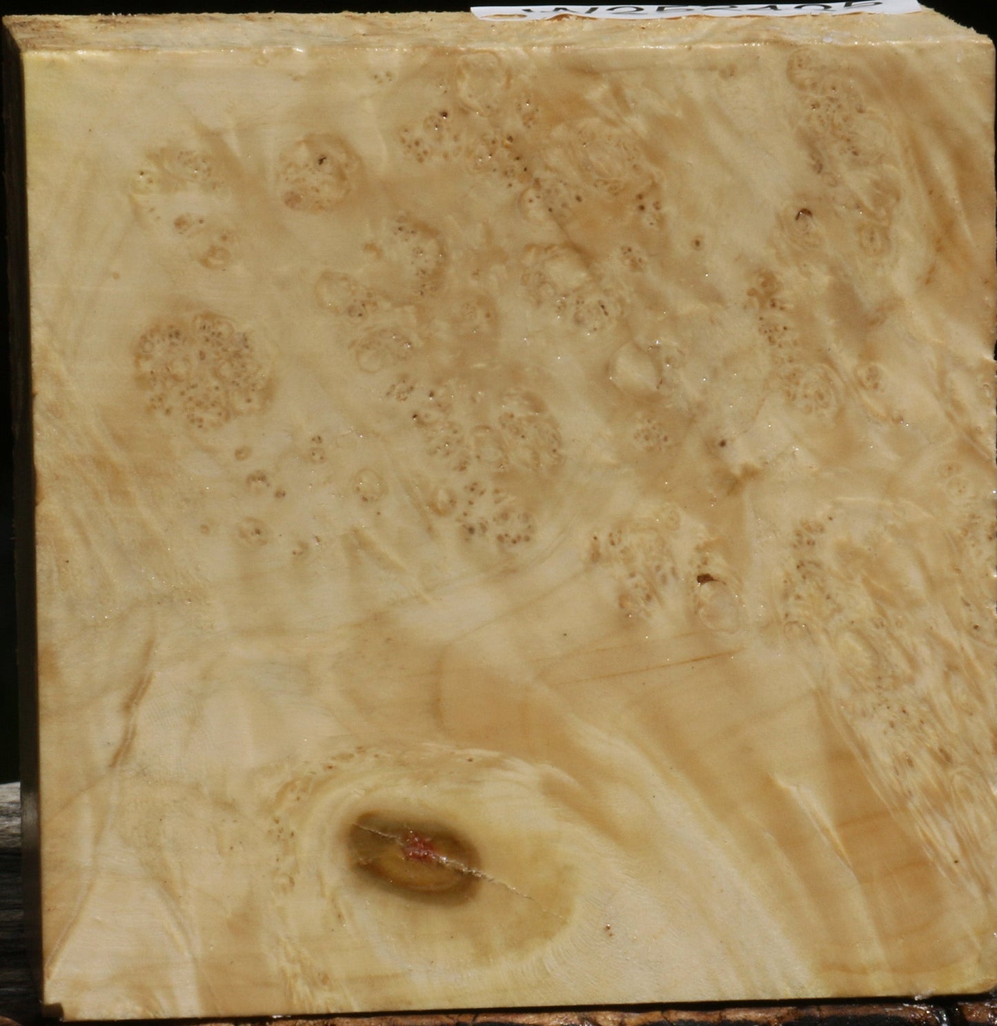 Box Elder Burl Bowl Blank