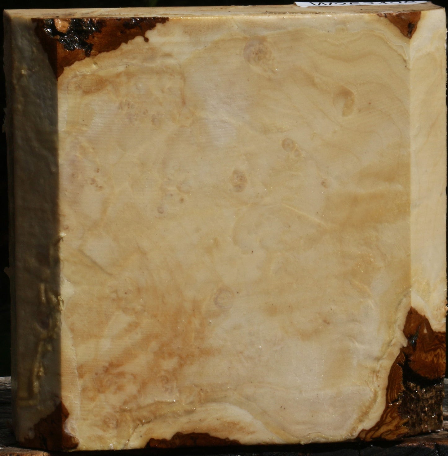 Box Elder Burl Bowl Blank