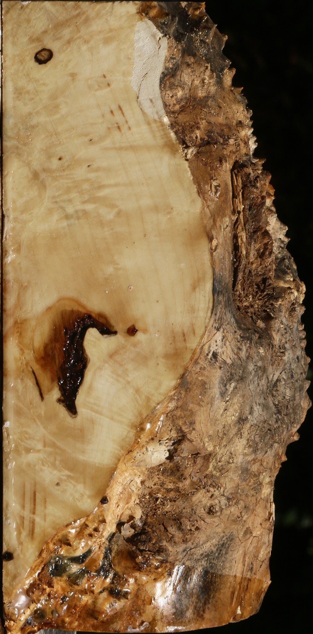 Rustic Box Elder Burl Live Edge Turning Blank