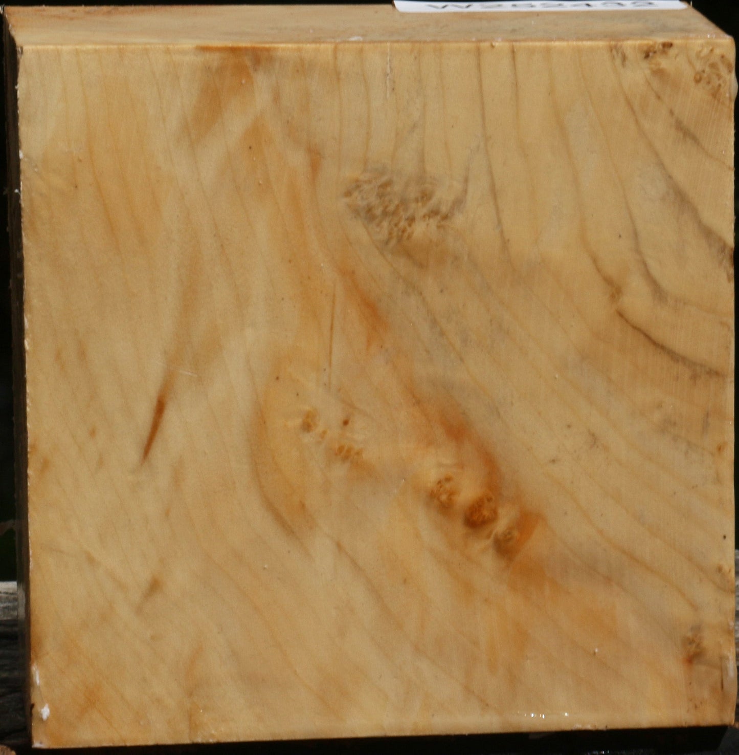 Extra Fancy Box Elder Bowl Blank