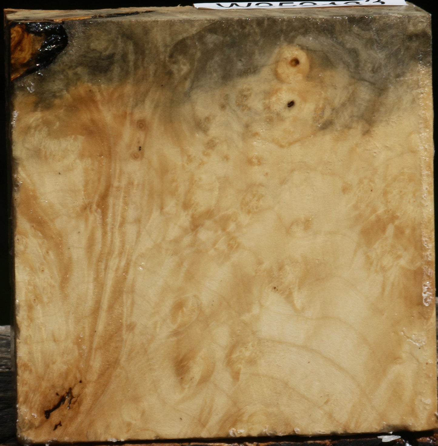 Box Elder Burl Bowl Blank