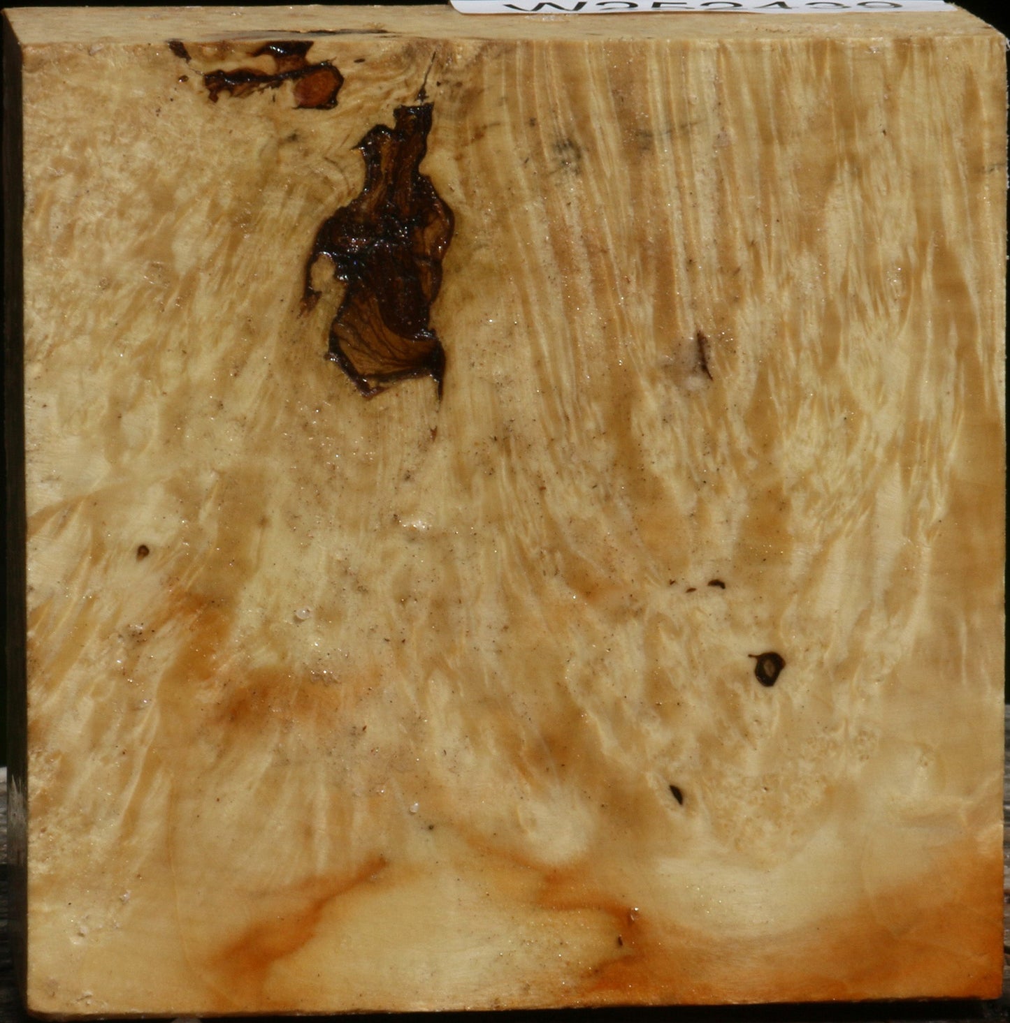 Box Elder Burl Bowl Blank