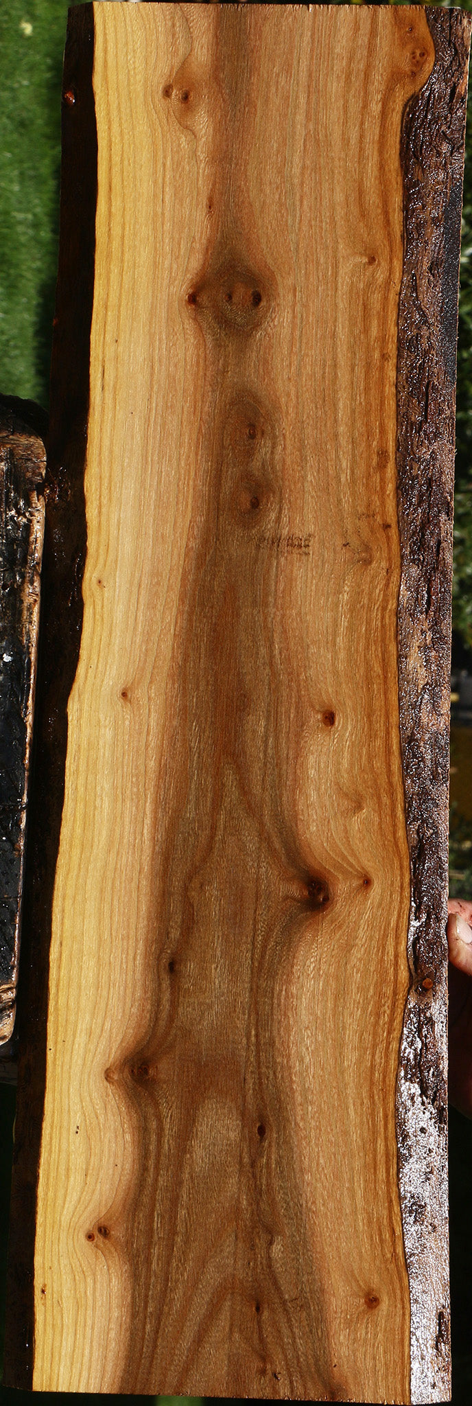 Figured Siberian Elm Live Edge Lumber