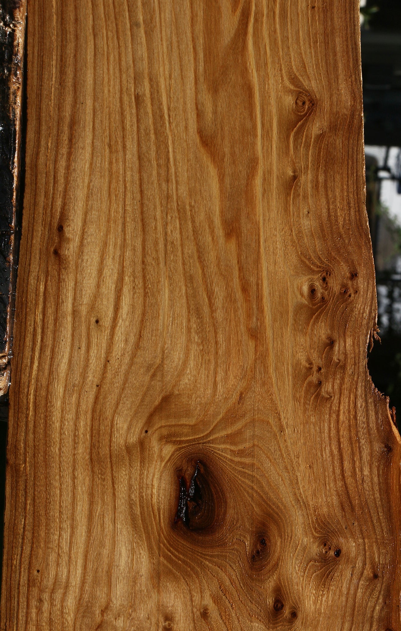 Figured Siberian Elm Live Edge Lumber